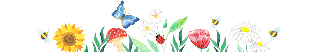 collection image
