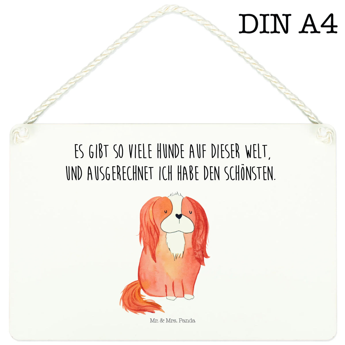 Deko Schild Hund Cavalier King Charles Spaniel