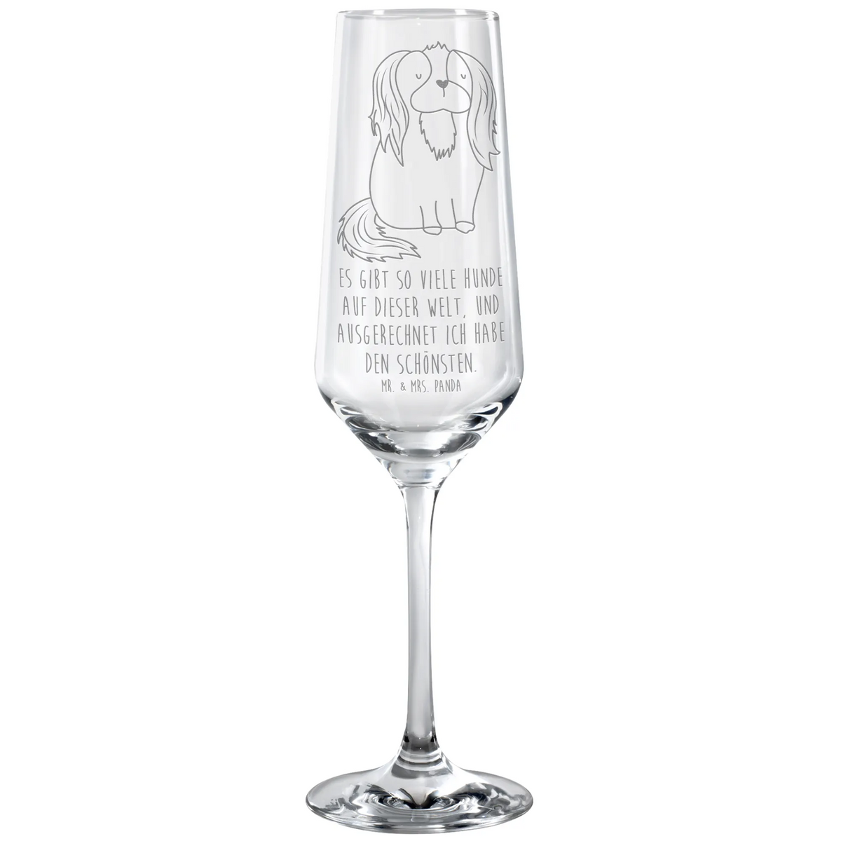 Sektglas Hund Cavalier King Charles Spaniel