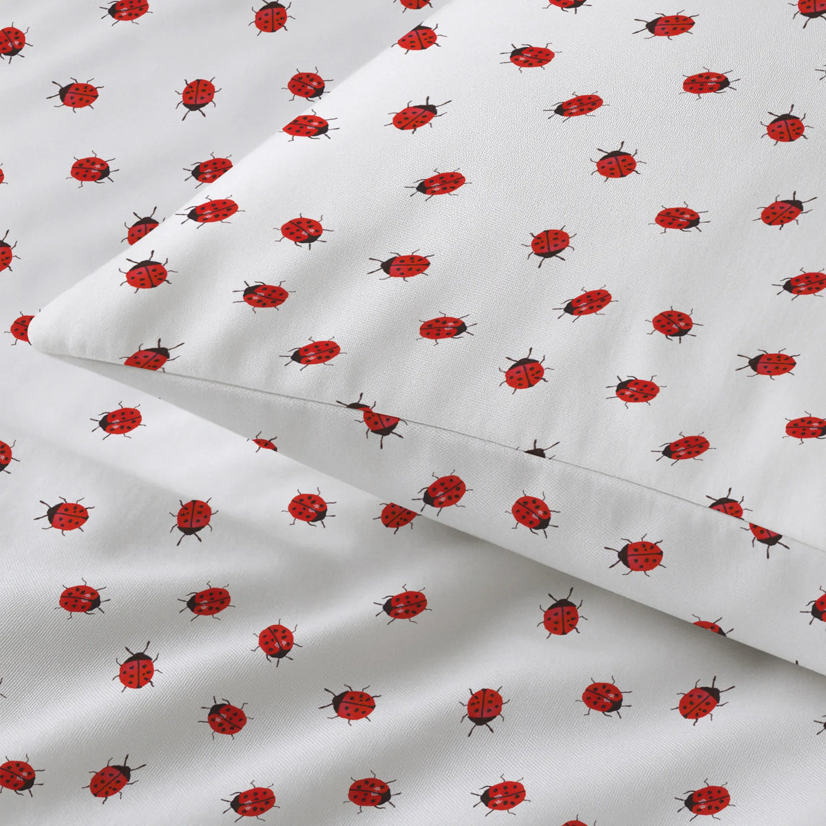 p:2001091|h:40e13b9cae321d9279b391120c7b314d